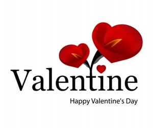 Top Five Tips To Create The Perfect Valentine’s Day
